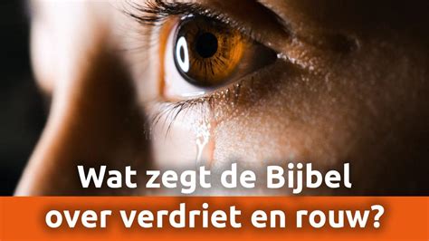 verdriet in de steek gelaten|Verdriet en pijn in de Bijbel